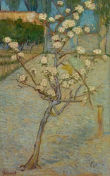 Pequeño peral en flor